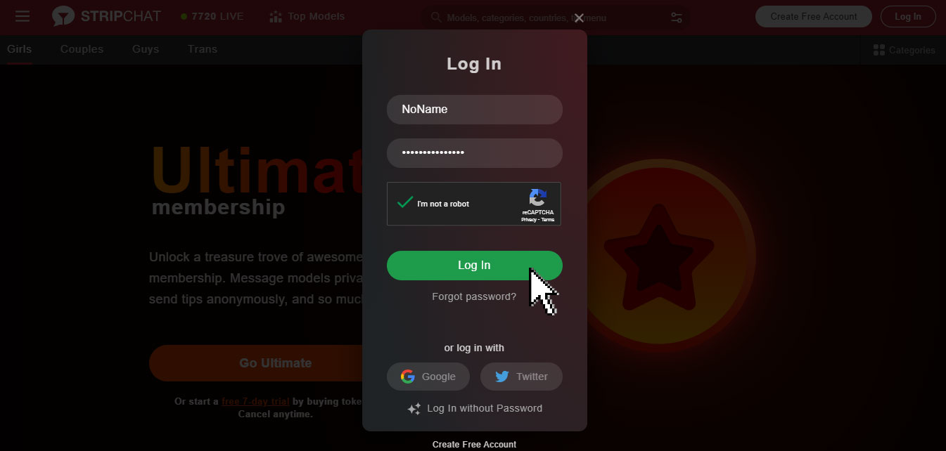 StripChat login process