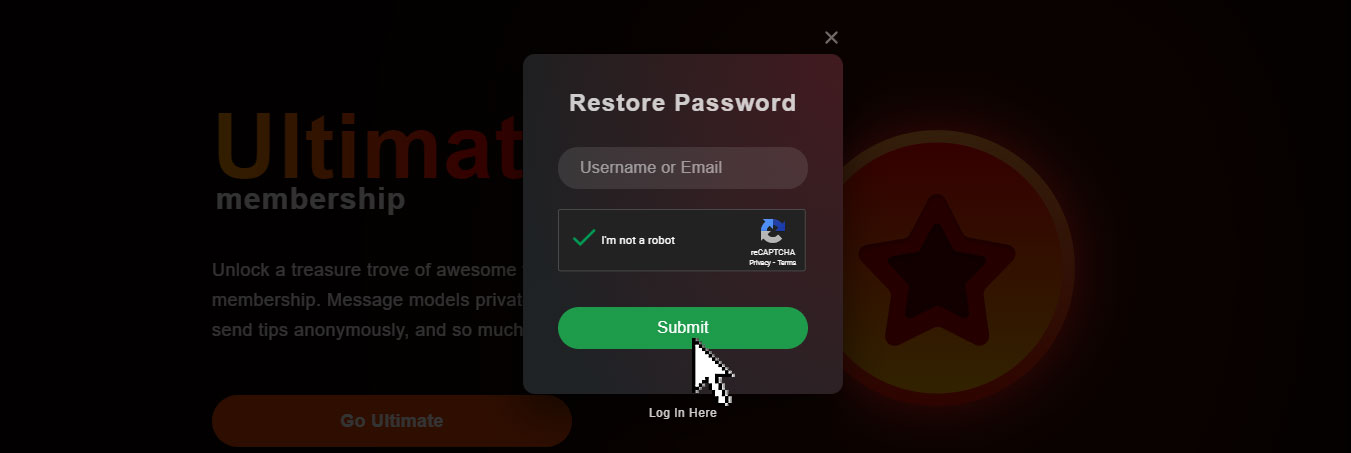 StripChat Restore password